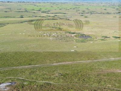 Fazenda para Venda, em So Sebastio, bairro Zona Rural