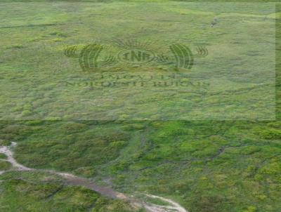 Fazenda para Venda, em Flexeiras, bairro Zona Rural