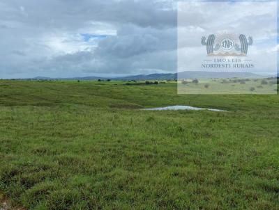 Fazenda para Venda, em Arapiraca, bairro Zona Rural