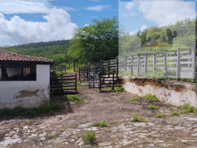 Fazenda para Venda, em Belo Monte, bairro Zona Rural