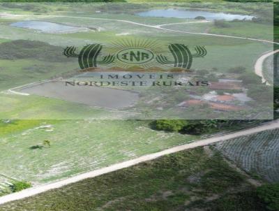 Stio / Chcara para Venda, em Pilar, bairro Zona Rural