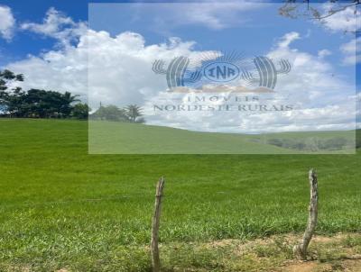 imagem-miniatura