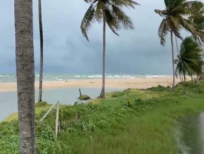 rea para Venda, em Maragogi, bairro Centro