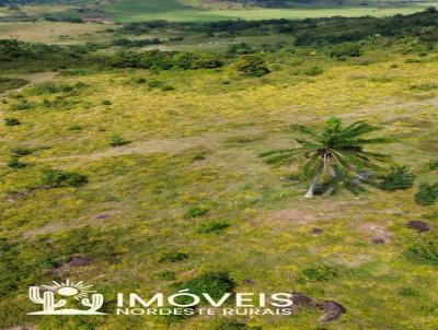 Fazenda para Venda, em Flexeiras, bairro Zona Rural