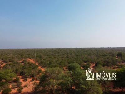 Fazenda para Venda, em , bairro Zona Rural