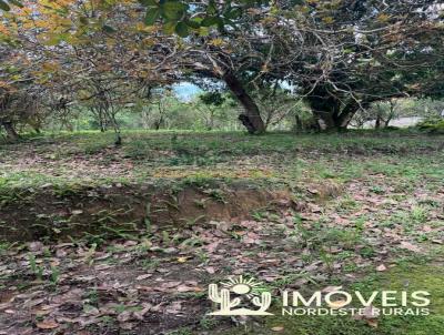Stio para Venda, em Joaquim Gomes, bairro Zona Rural