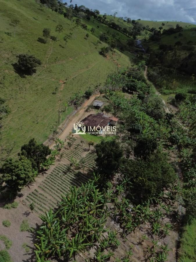 imagem-miniatura