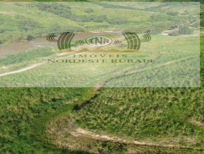 Fazenda para Venda, em So Jos da Laje, bairro Zona Rural