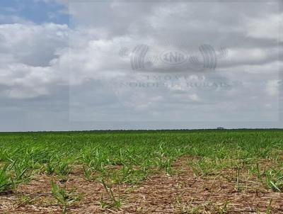 Fazenda para Venda, em Goianinha, bairro 