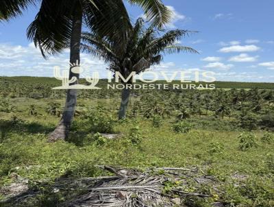 Área para Venda, em Jequiá da Praia, bairro Centro
