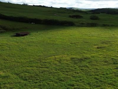 Fazenda para Venda, em Unio dos Palmares, bairro Zona Rural