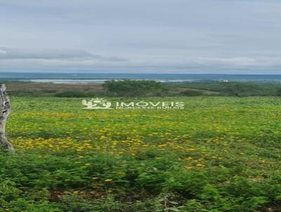 Fazenda para Venda, em Belo Monte, bairro Zona Rural