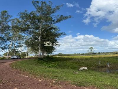 Fazenda para Venda, em Governador Nunes Freire, bairro Zona Rural