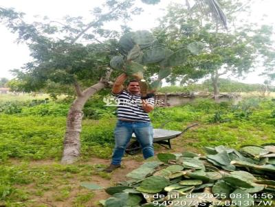 Fazenda para Venda, em Delmiro Gouveia, bairro Zona Rural