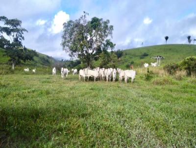Fazenda para Venda, em Col�nia Leopoldina, bairro Zona Rural