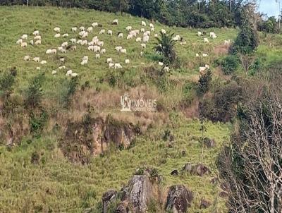 Fazenda para Venda, em Atalaia, bairro Zona Rural