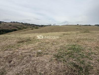 Fazenda para Venda, em Vi�osa, bairro Zona Rural