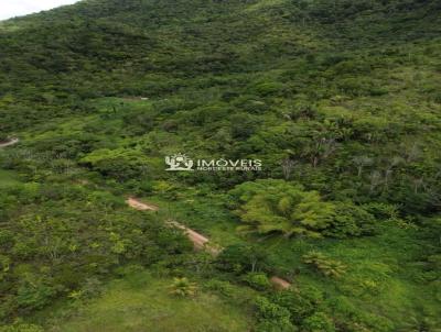 S�tio para Venda, em Murici, bairro Zona Rural