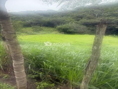 S�tio para Venda, em Matriz de Camaragibe, bairro Zona Rural